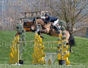 Lever Da Vinci Pride TosTour2013- S5 2815 : Arezzo, Arezzo Equestrian Centre, Da Vinci's Pride, Lever Philip, Toscana Tour 2013, foto di Stefano Secchi ©